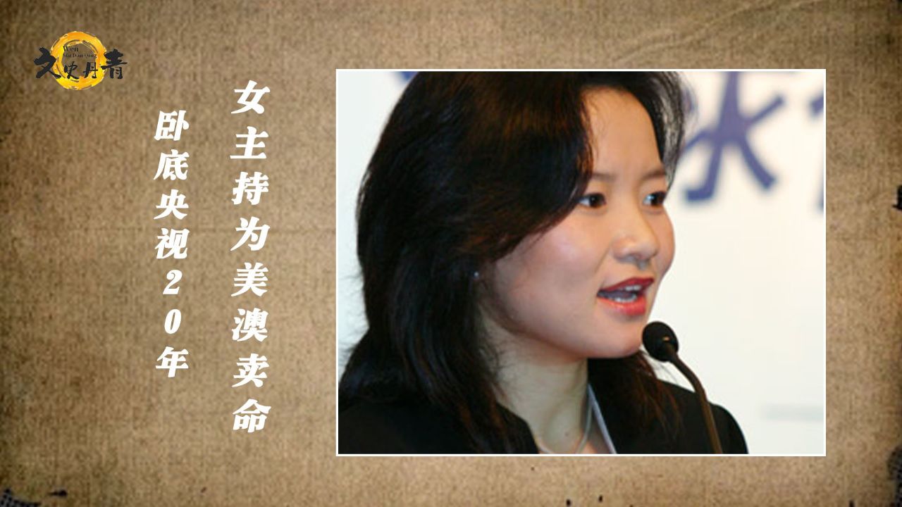 中央军事频道与女间谍的隐秘世界，中央军事频道揭秘，女间谍的隐秘世界