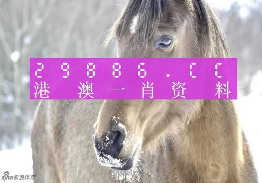 澳门平特一肖的准确性探究，澳门平特一肖准确性深度探究