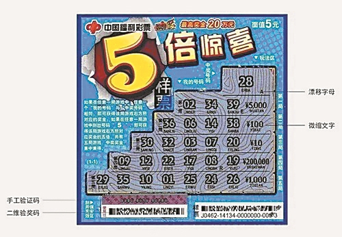 王中王彩图平特一肖，探索与解读，王中王彩图平特一肖，深度探索与解读