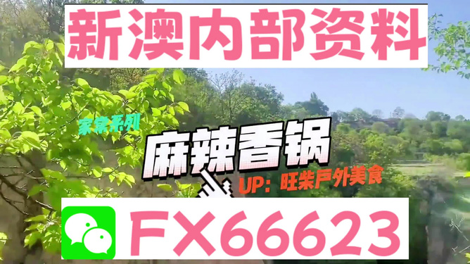 新澳精准资料，助力决策与成长的无价资源，新澳精准资料，决策与成长的必备资源
