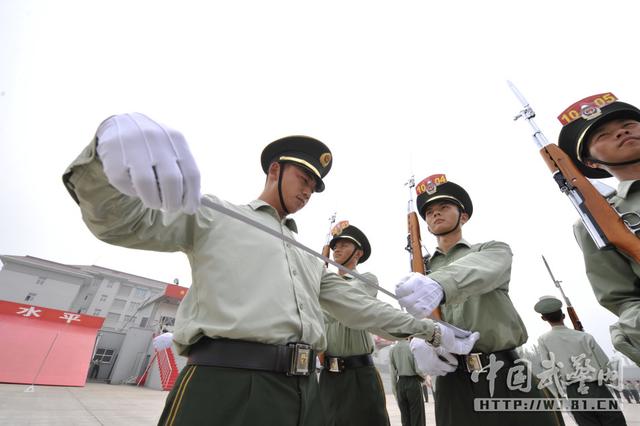 武警仪仗队，展现荣耀与威严的杰出代表，武警仪仗队，荣耀与威严的杰出展现