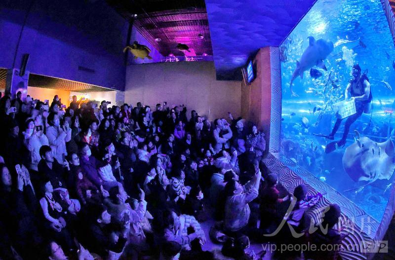 新澳2025今晚开奖结果揭晓,一场期待与激情的盛宴,新澳2025今晚开奖盛况揭晓,期待与激情之夜