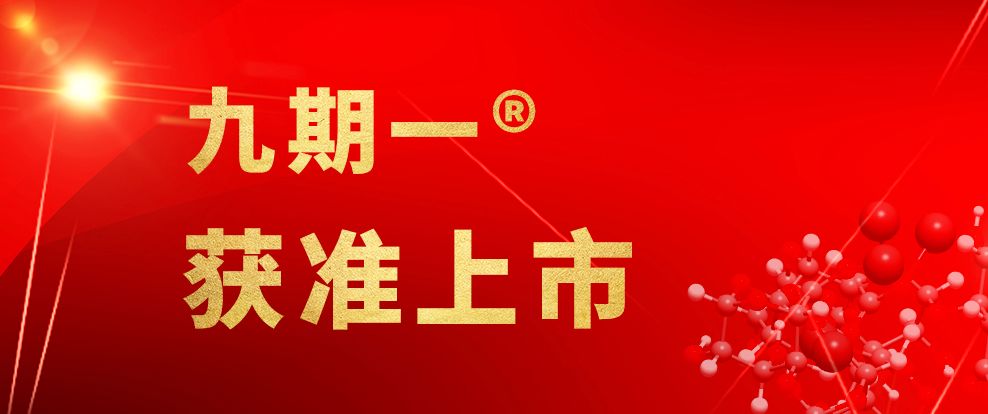 中特精准王中王王中一肖，探索精准预测的魅力与奥秘，探索精准预测魅力与奥秘，中特精准王中王王中一肖揭秘
