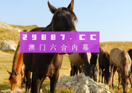 管家婆四不象必中一肖——揭秘彩票背后的秘密，揭秘彩票背后的秘密，管家婆四不象必中一肖的真相