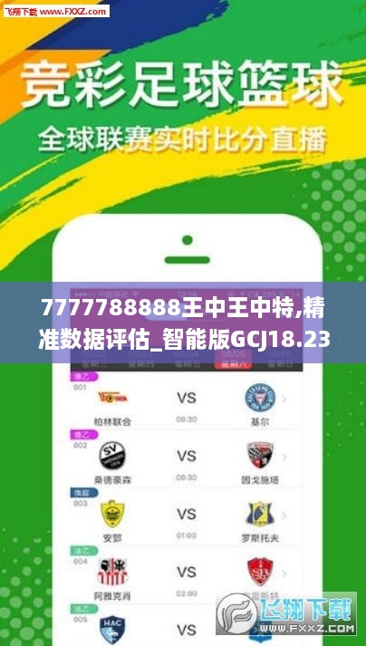 王中王222期指一生肖，探寻背后的文化魅力与生肖智慧，王中王222期聚焦生肖文化魅力与智慧探索