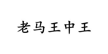 王中王丑中王解一肖——探寻生肖文化中的独特魅力，生肖文化中的独特魅力，王中王丑与解一肖的探寻