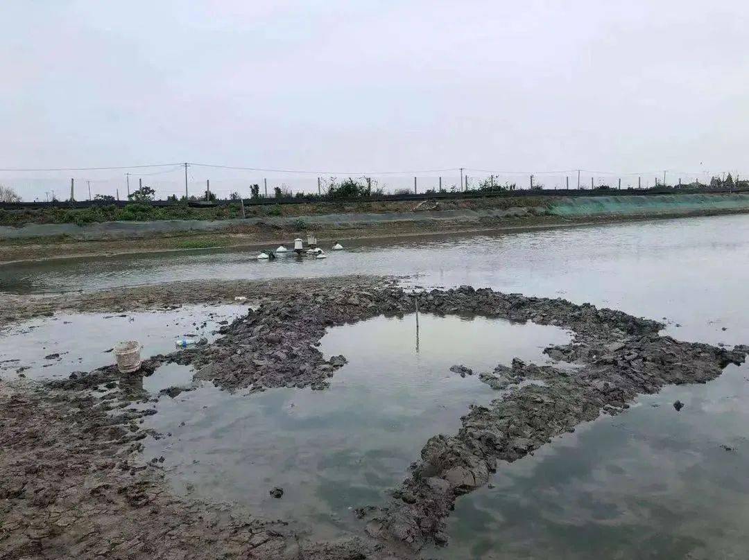 新澳现场开奖结果查询