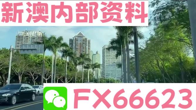 新澳最准的免费资料解析，新澳最准免费资料深度解析