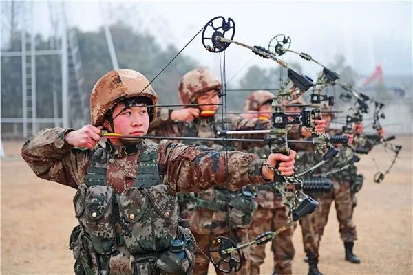 中国女特种兵芳华，坚韧与荣耀的赞歌，中国女特种兵，芳华赞歌，荣耀与坚韧的传奇之路