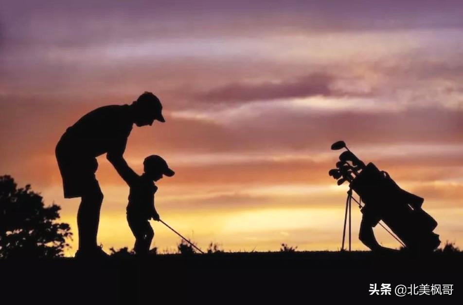 森林之中王中王——探寻生肖之王的神秘面纱，森林之王中的王者，探寻生肖之王的神秘面纱