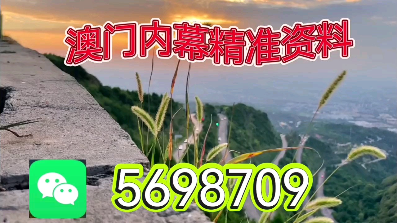 新澳天天开彩资料大全，探索彩票世界的奥秘与魅力，探索彩票世界，新澳天天开彩资料大全的魅力与奥秘