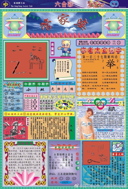 王中王四不像一肖图，神秘与魅力的交织，王中王四不像一肖图，神秘魅力之谜