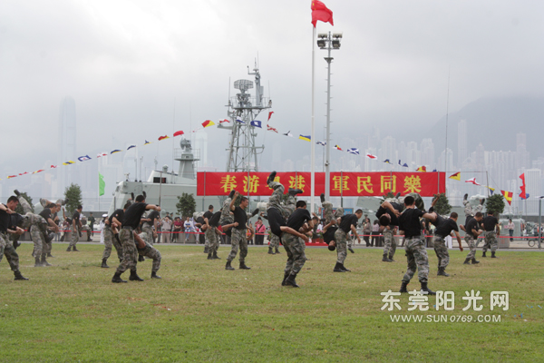 驻港部队东莞黄江的兵种解析，驻港部队东莞黄江兵种深度解析