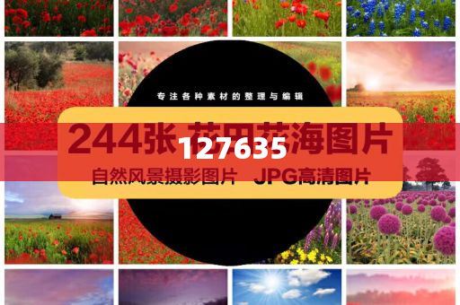 揭秘精准新传真背后的秘密，数字77777与88888的力量，揭秘精准新传真背后的秘密，数字力量77777与88888探秘