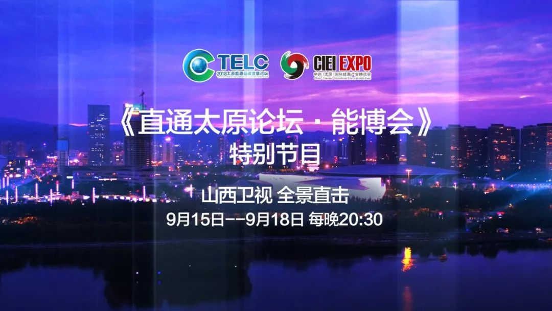 美言网论坛栏目，探索与启示，美言网论坛栏目，探索与启示的旅程