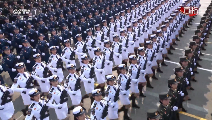 揭秘2015大阅兵中的擎旗手，荣耀背后的无名英雄，揭秘大阅兵擎旗手，荣耀背后的无名英雄之路（2015年）