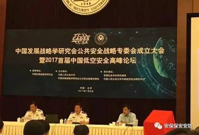 中国发展战略学研究会，探索与前瞻，中国发展战略学研究会，探索未来，前瞻发展之路
