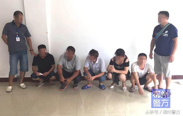 社会影响分析