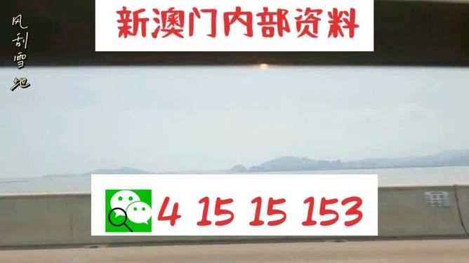 新澳六叔精准资料大全，探索与解读，新澳六叔精准资料大全，深度探索与解读