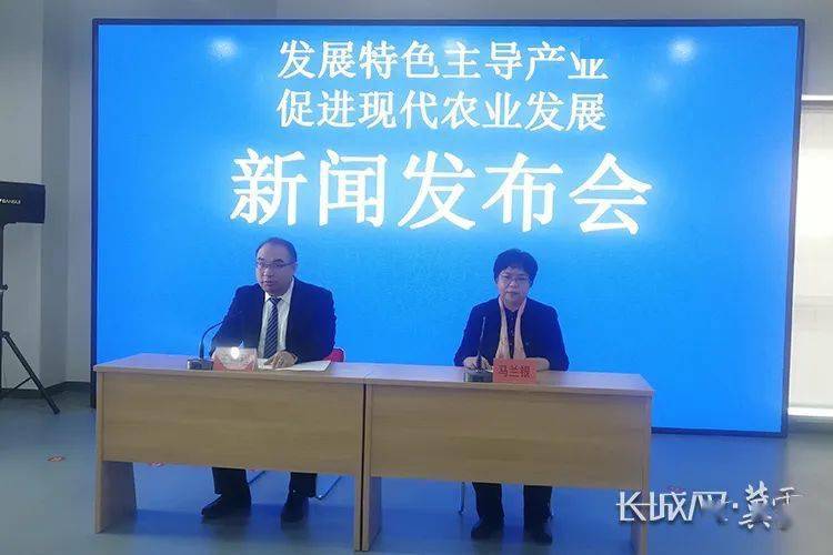 新闻发布的特色做法，打造高效透明的信息传播平台，新闻发布特色实践，构建高效透明信息传播平台之道