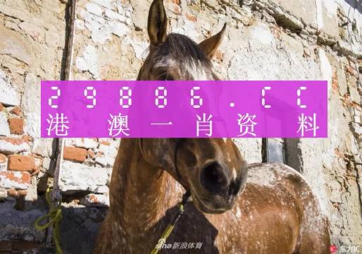彩票秘密揭秘