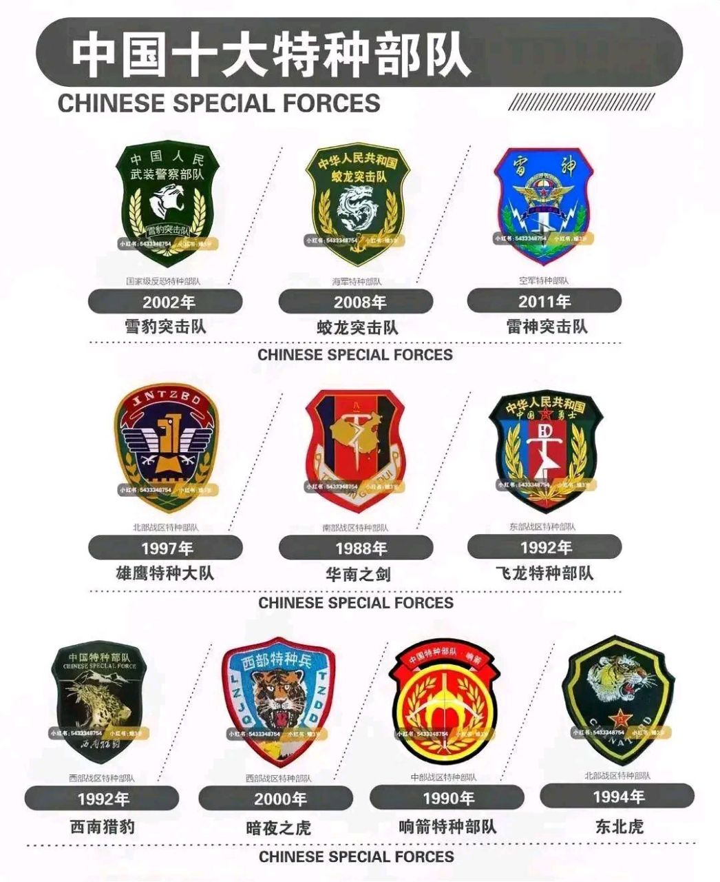 中国女特种部队排名，实力与荣耀的象征，中国女特种部队排名揭秘，实力与荣耀的象征之巅