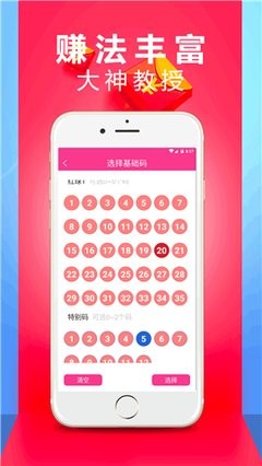 王中王精选六肖中特一，探寻精准预测的魅力，王中王精选六肖中特一，精准预测的魅力探索