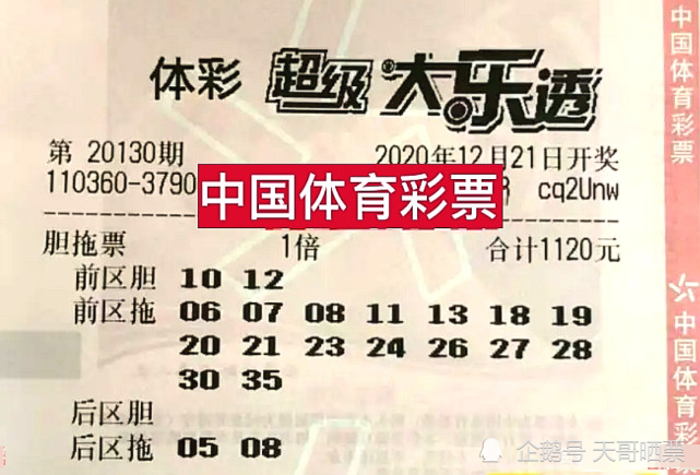 深度解析与预测