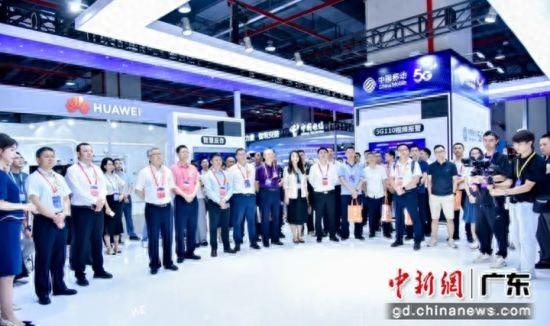 2024年最新新闻报道及分析，2024年最新新闻报道及分析综述