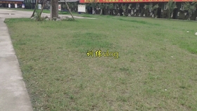 民兵训练晚上可以回家吗？——探讨民兵训练的安排与灵活性，民兵训练安排与灵活性探讨，晚上能否回家？