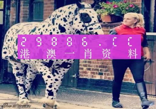 王中王一肖一特一中澳门，探索与解读，澳门探索之旅，聚焦王中王与生肖彩票的独特魅力