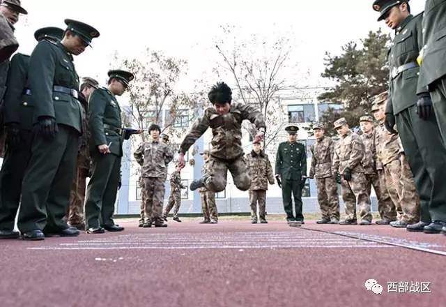 关于中国人民解放军陆军第XXX集团军直属团的深度解析，中国人民解放军陆军第XXX集团军直属团深度剖析