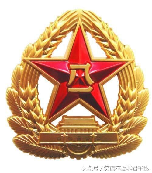 武警部队帽徽换与不换，历史、现实与未来的考量，武警部队帽徽换与不换背后的历史、现实和未来考量