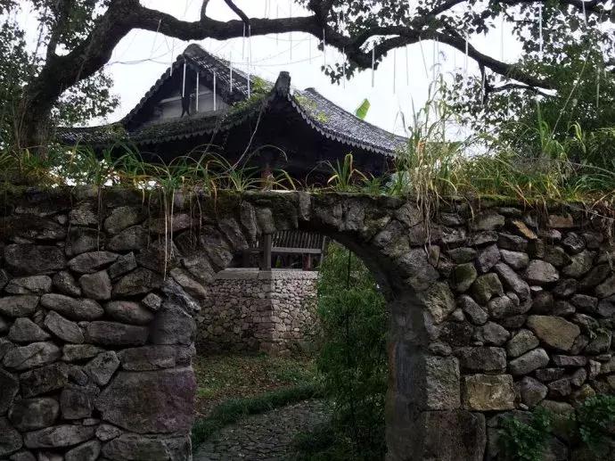 状元红高手坛，探索优质资源的网址，状元红高手坛，优质资源网址探索之旅