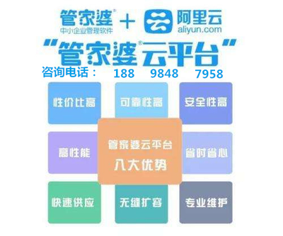 云间玉箭映凤凰，探寻管家婆与数字世界的神秘面纱，揭秘管家婆与数字世界的神秘面纱，云间玉箭映凤凰
