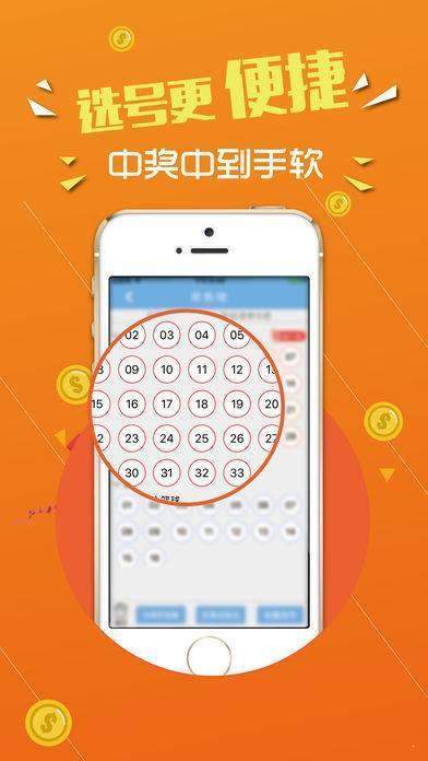 探索数字背后的故事，王中王中传奇的历程与成就，王中传奇，数字背后的故事与辉煌成就探索