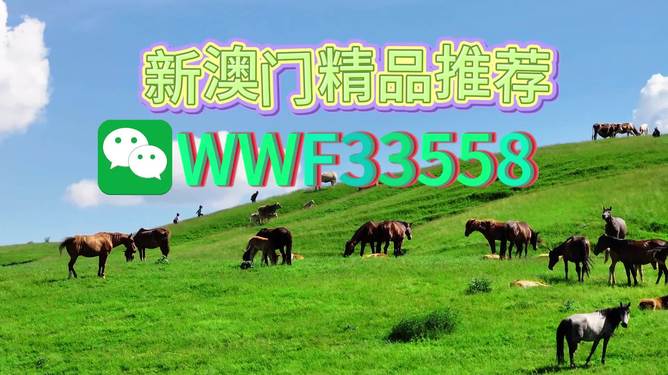 揭秘精准四生肖背后的神秘数字，77777与88888，揭秘精准四生肖背后的神秘数字，揭秘数字背后的生肖秘密