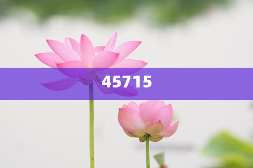 2025新澳天天精准大全谜语