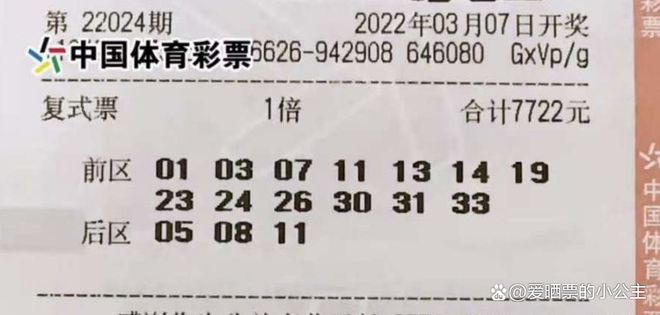 新澳2025天天开好彩与大乐透的无限魅力,新澳2025天天开好彩与大乐透的吸引力无限