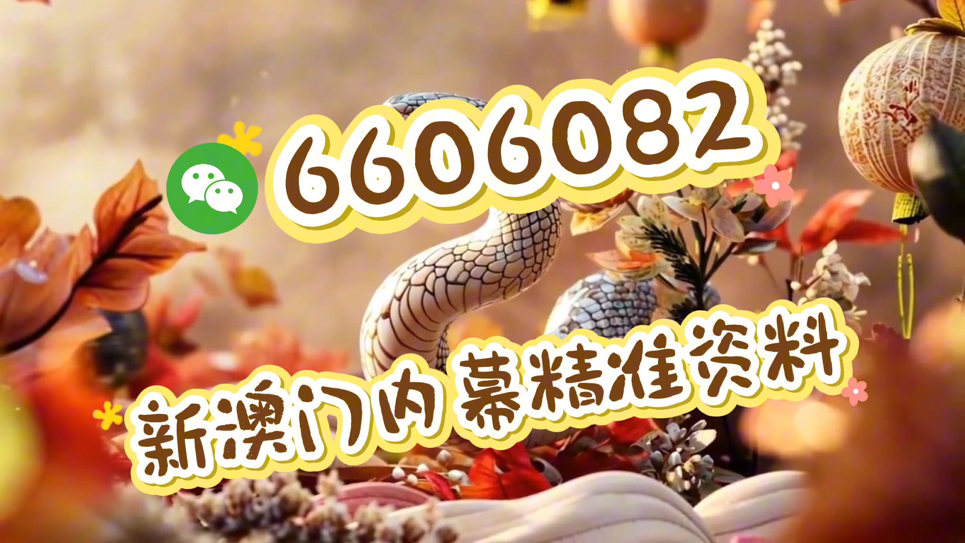 探索澳门文化魅力,2025新澳门天天精准大全谜语,澳门文化魅力探索,2025新澳门天天精准谜语大全