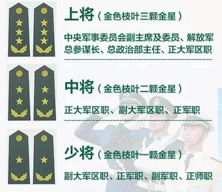 军衔级别与职务档次,军队管理体系中的两大基石,军衔级别与职务档次,军队管理体系的基石