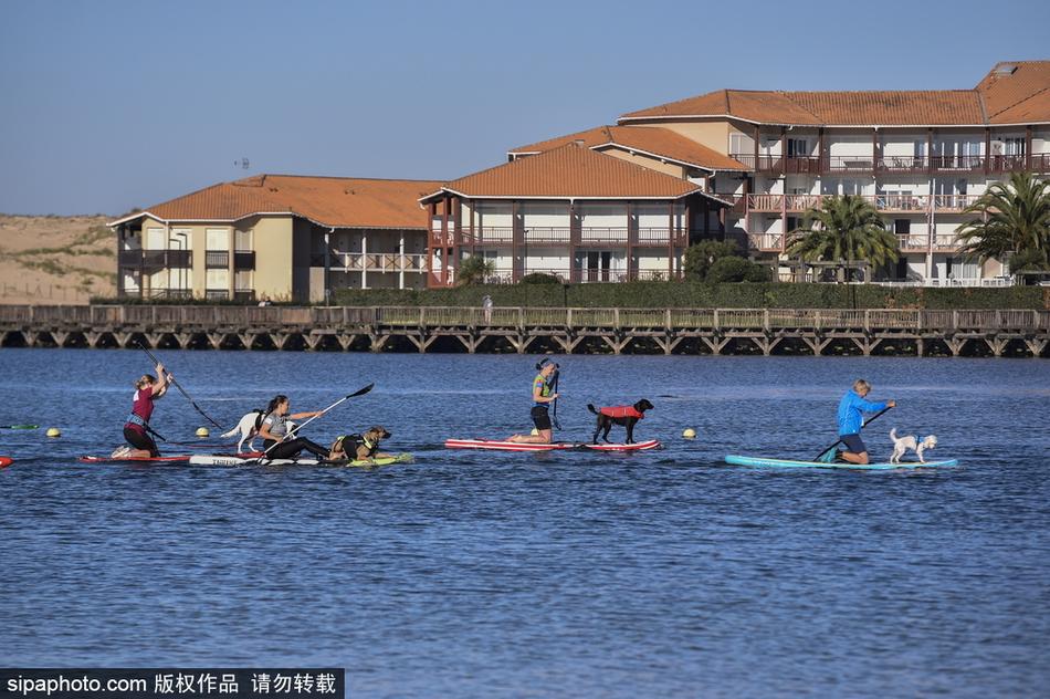 澳门天天最快开奖结果,探索彩票背后的魅力与神秘,澳门彩票开奖背后的魅力与神秘探索,天天最快开奖结果揭秘