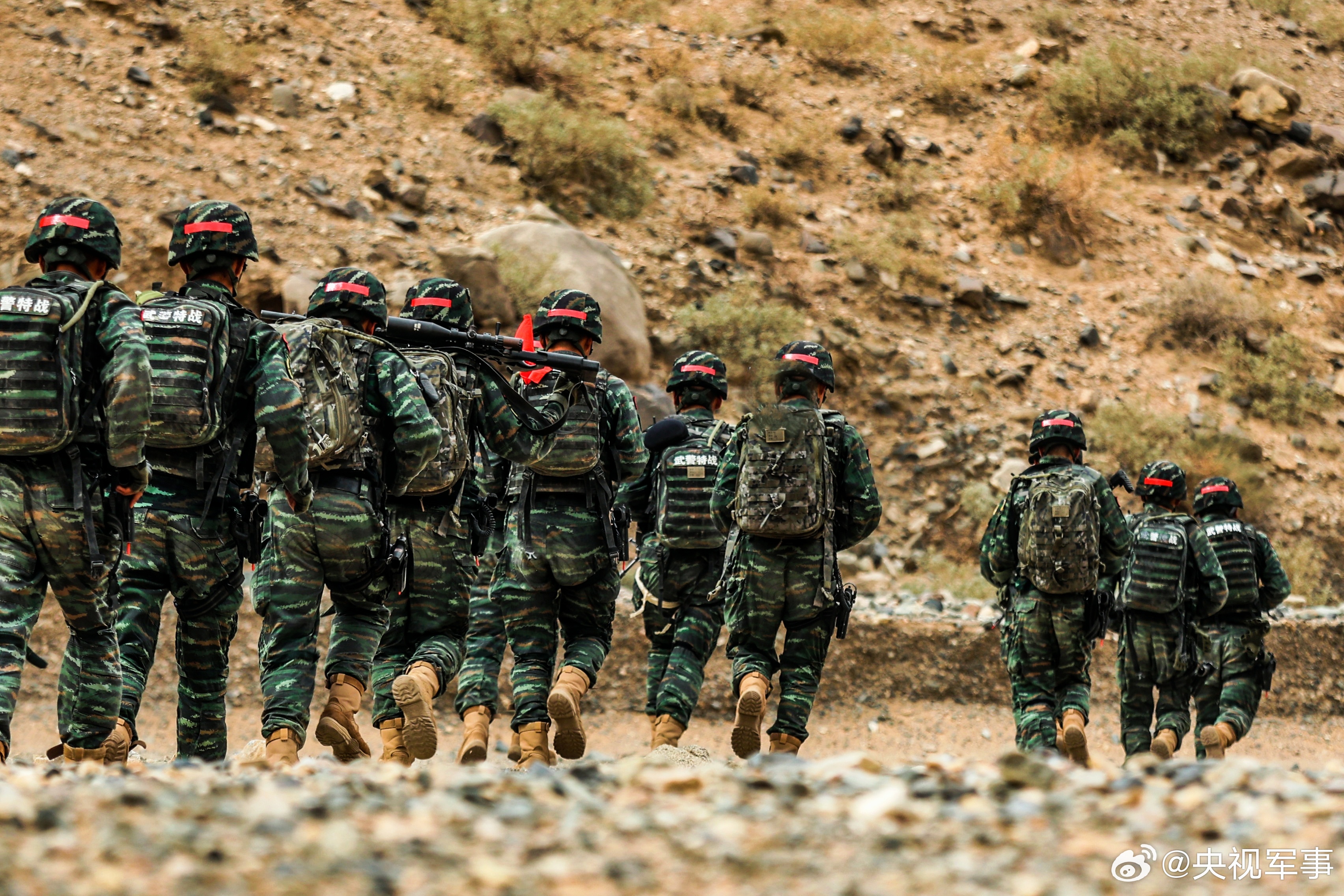 特种部队魔鬼周,锤炼意志与能力的极限挑战,特种部队魔鬼周,意志与能力的极限锤炼挑战