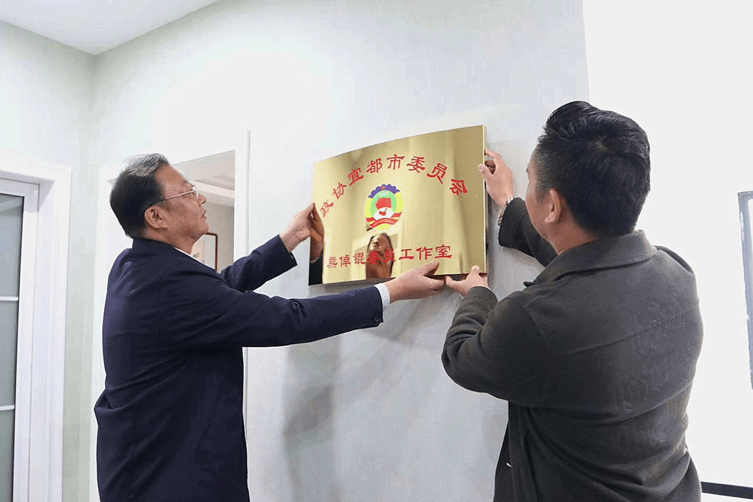 正版挂牌，重塑行业秩序，引领正版文化潮流，正版挂牌重塑行业秩序，引领正版文化新潮流