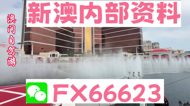 新澳一码料，纺织行业的革新力量，新澳一码料，纺织行业革新力量引领未来