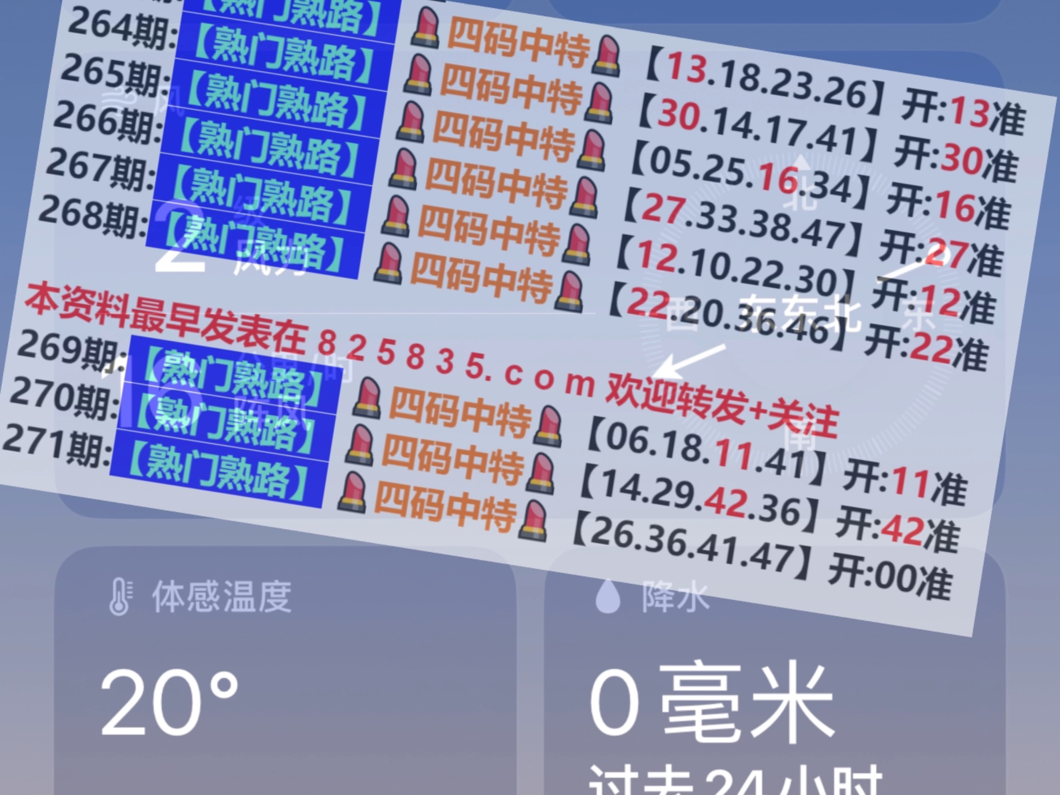 澳门免费精准资料，探索与解析（204年视角），澳门免费精准资料解析，204年视角下的探索与洞察