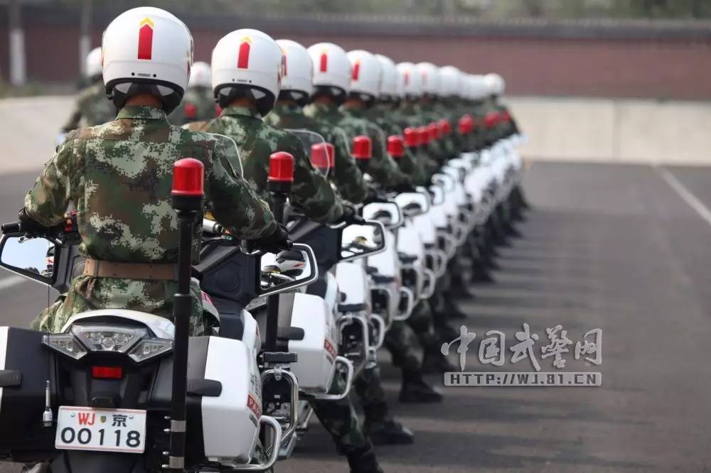 国宾护卫队护送外国领导视频,荣耀与责任的体现,国宾护卫队,荣耀与责任的体现——外国领导护送视频