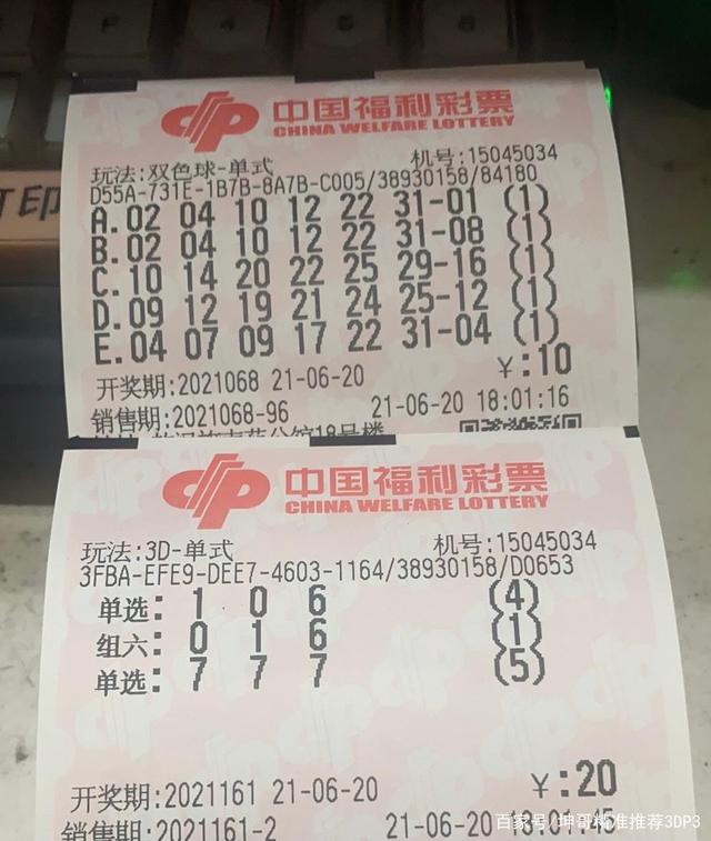 探寻王者之路,揭秘王中王平特一肖背后的故事,揭秘王者之路,王中王平特一肖背后的传奇故事