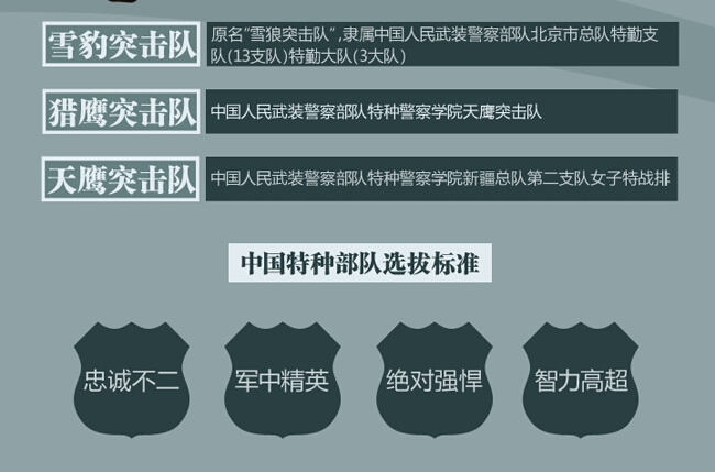 中国女特种兵部队排名，中国女特种兵部队排名揭秘