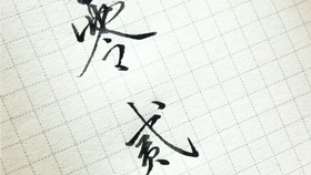 最近摘抄的一小段新闻,揭示科技创新与社会发展的紧密关联,科技创新与社会发展紧密相连,揭示最新发展动态与关联趋势